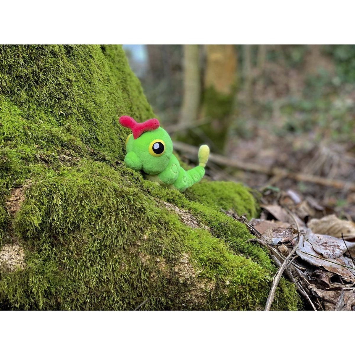 Pokemon Caterpie Kanto Sitting Cuties Plush Toy 14cm