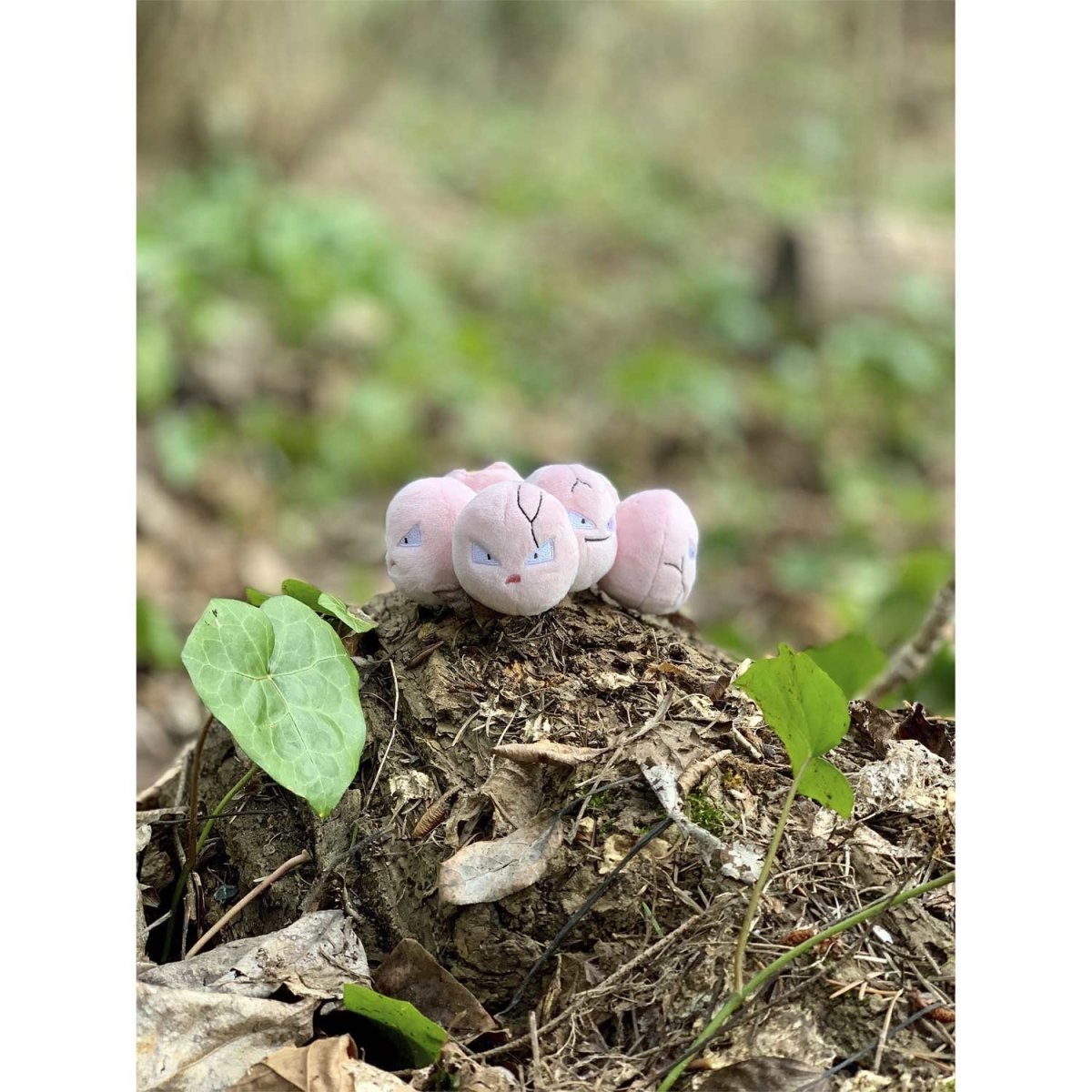 Pokemon Exeggcute Kanto Sitting Cuties Plush Toy 6cm