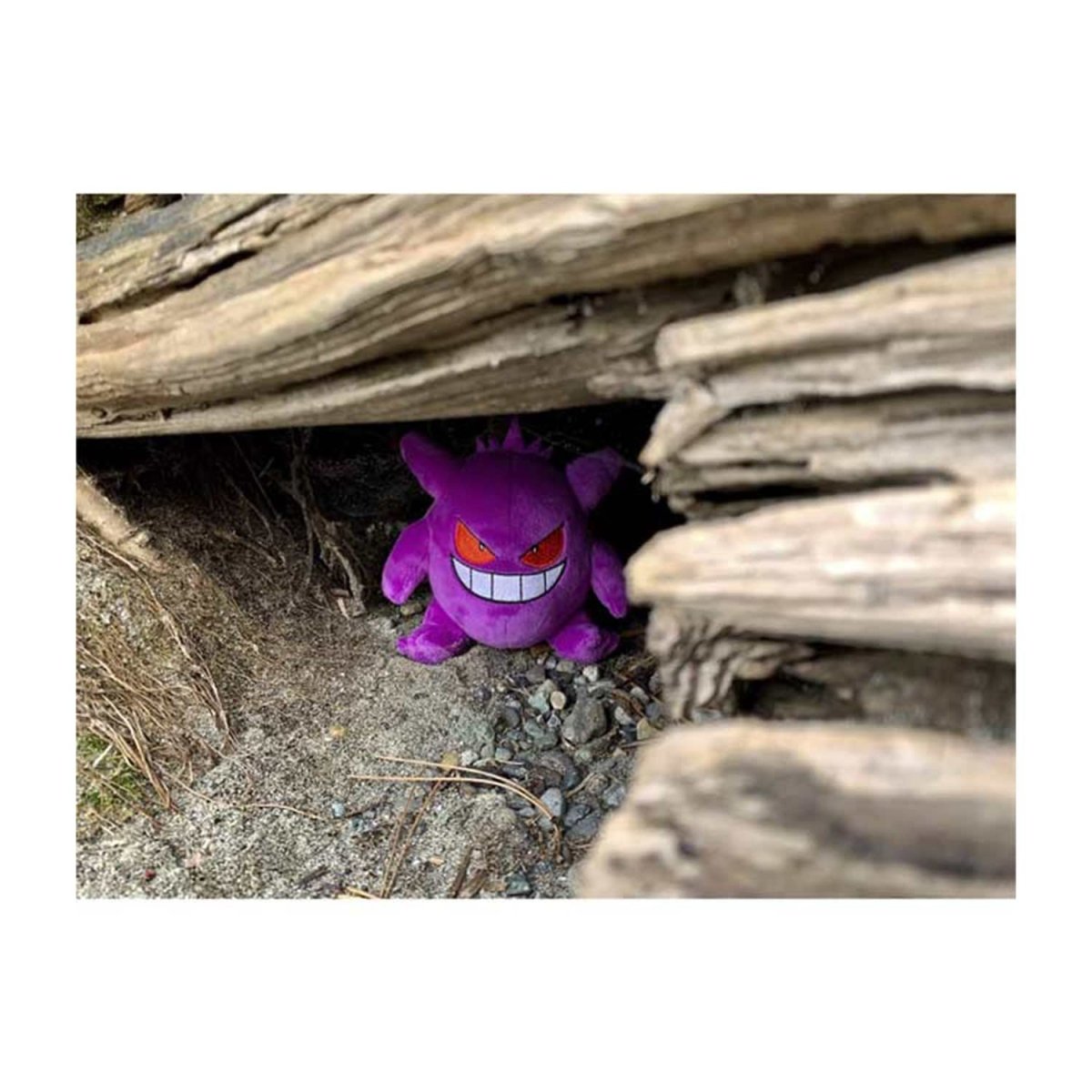 Pokemon Gengar Kanto Sitting Cuties Plush Toy 17cm
