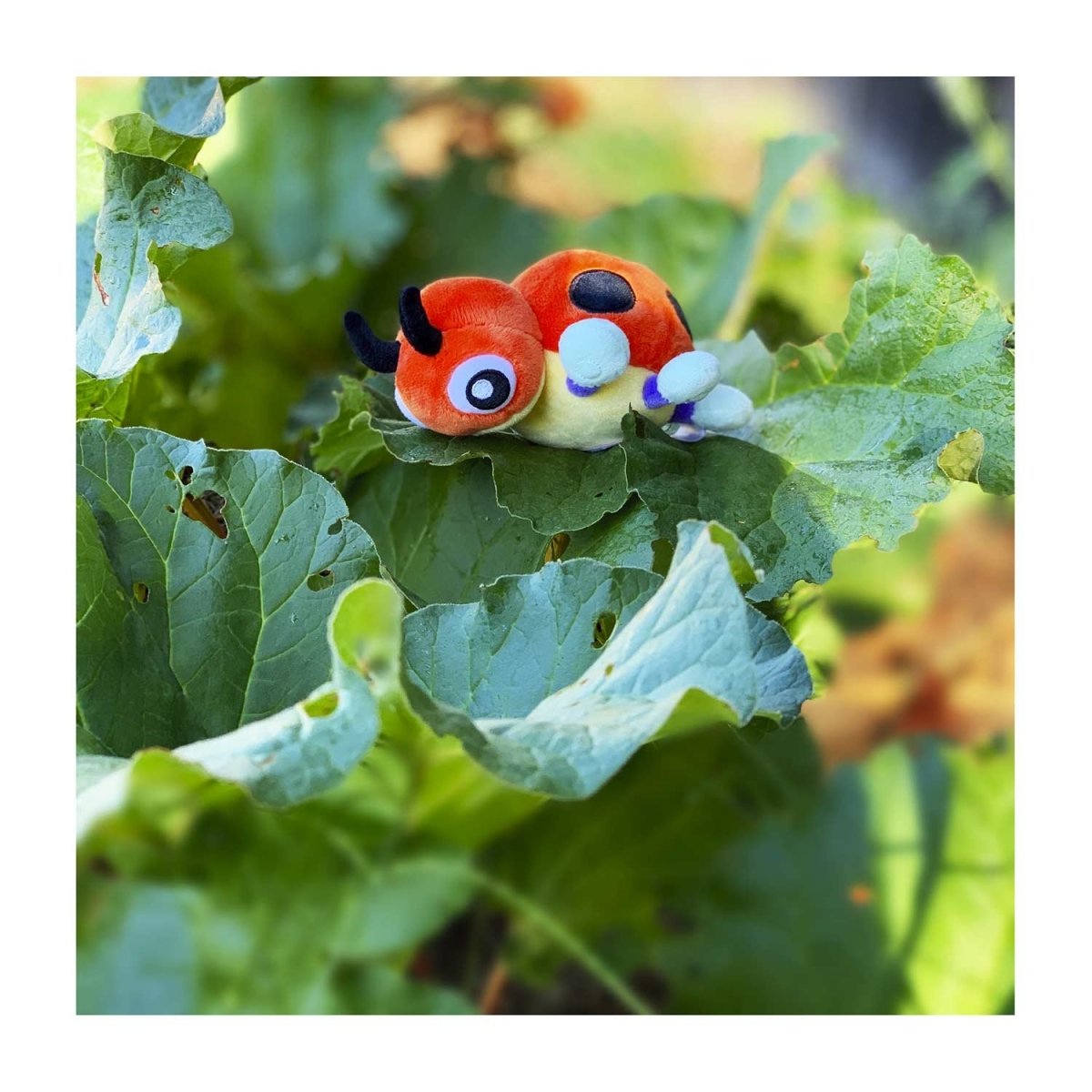 Pokemon Ledyba Johto Sitting Cuties Plush Toy 11cm