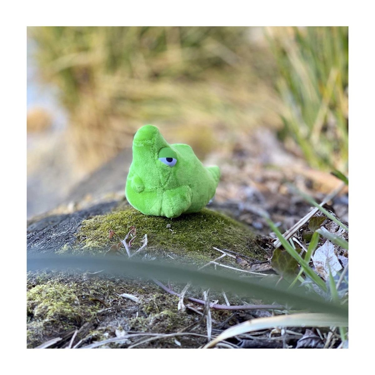 Pokemon Metapod Kanto Sitting Cuties Plush Toy 9cm