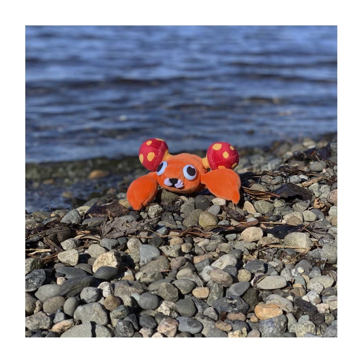 Pokemon Paras Kanto Sitting Cuties Plush Toy 9cm