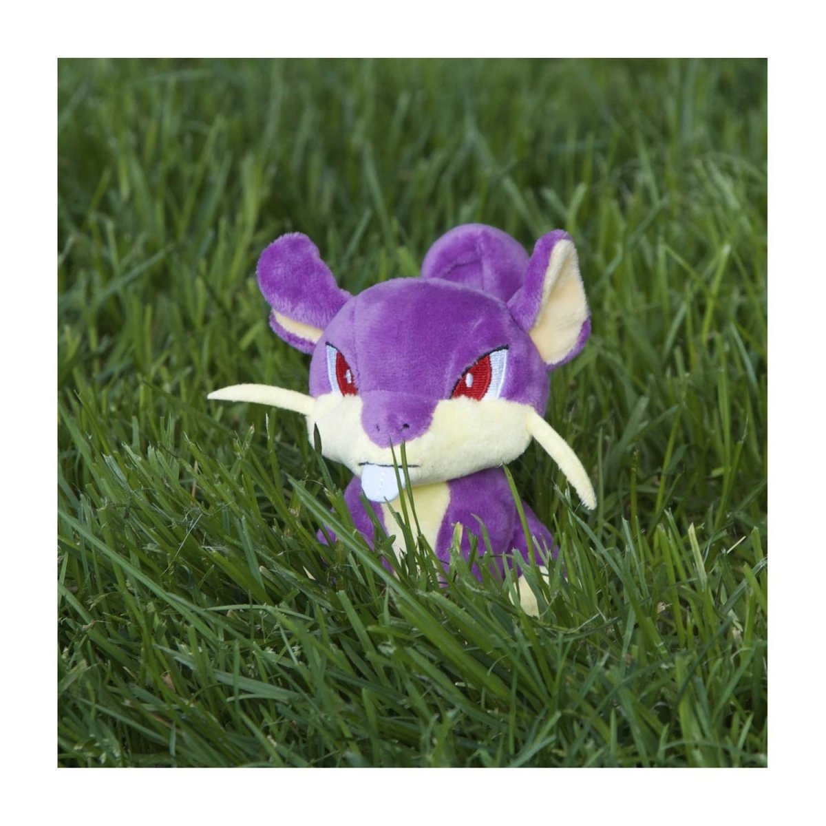 Pokemon Rattata Kanto Sitting Cuties Plush Toy 11cm