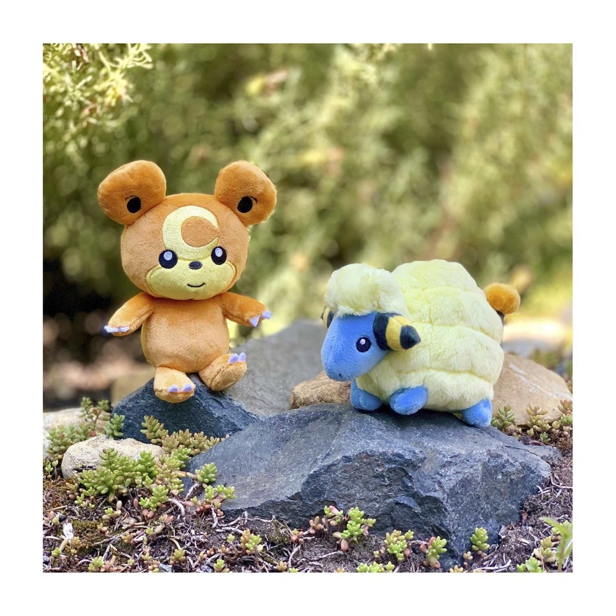 Pokemon Teddiursa Johto Sitting Cuties Plush Toy 15cm