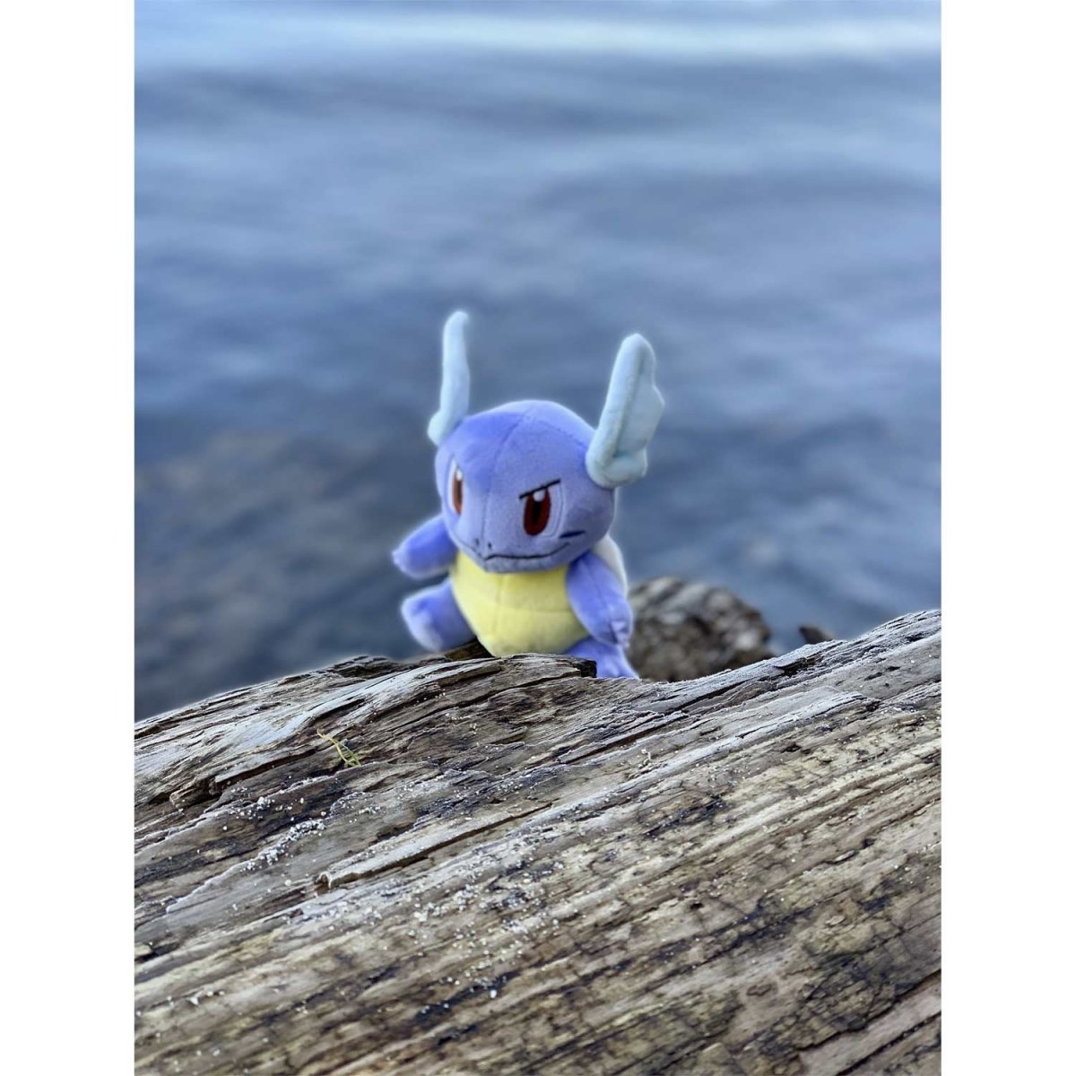 Pokemon Wartortle Kanto Sitting Cuties Plush Toy 15cm