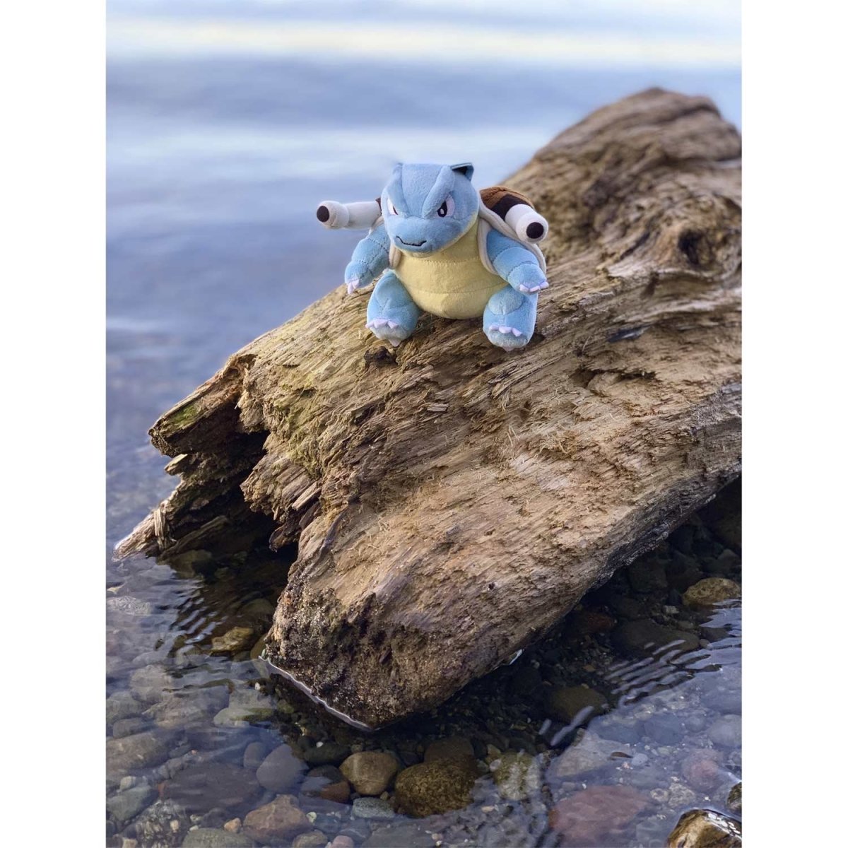 Pokemon Blastoise Kanto Sitting Cuties Plush Toy 13cm