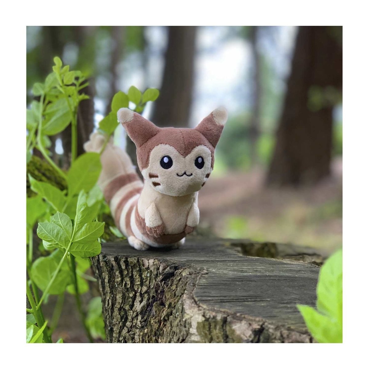 Pokemon Furret Sitting Cuties Plush 16cm