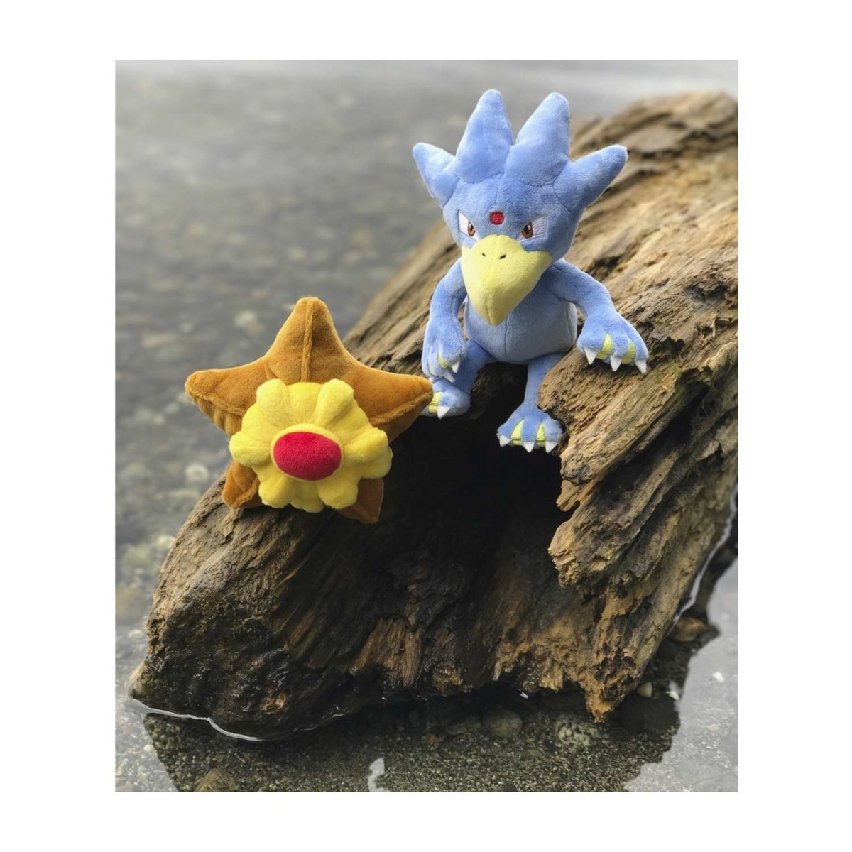 Pokemon Staryu Sitting Cuties Plush 13cm