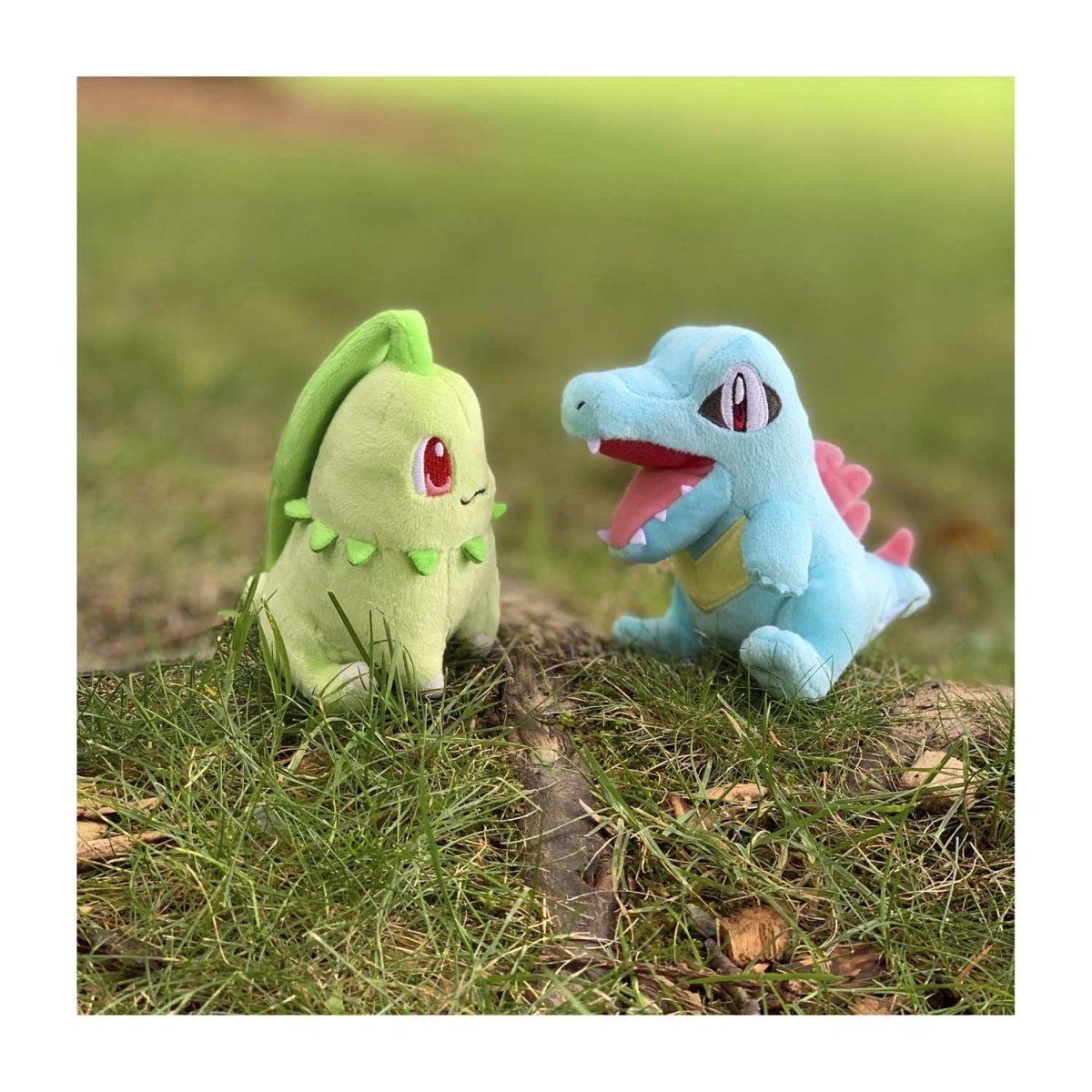 Pokemon Totodile Johto Sitting Cuties Plush 14cm